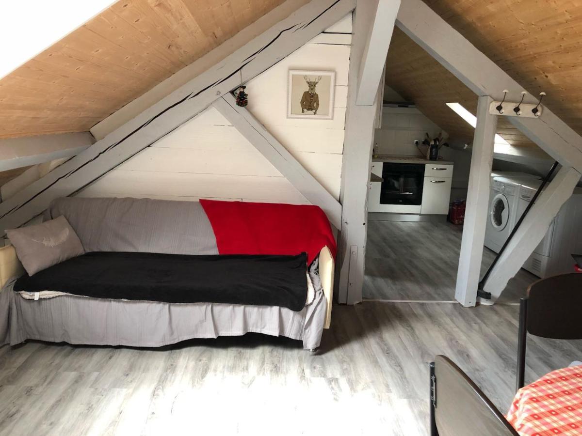 Appartement F3 Mont-Dore Zewnętrze zdjęcie